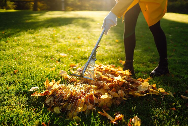 removal-leaves-autumn-garden-rake-pile-fallen-leaves-lawn-autumn-park-volunteering_217236-19589