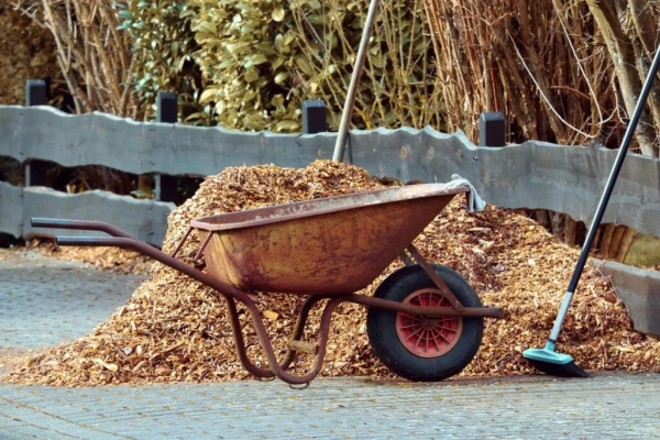 gardening-gffe2c1665_1920-1024×683 gardening-gffe2c1665_1920-1024x683
