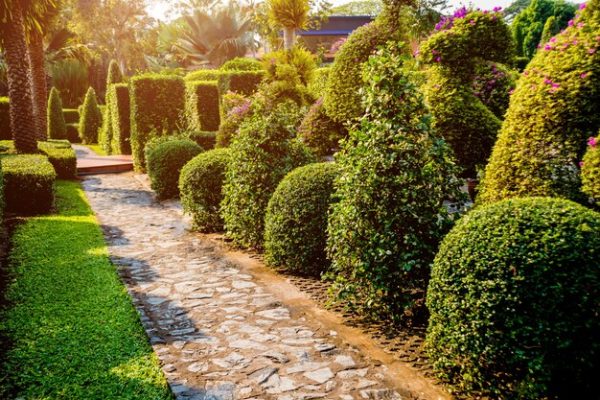 luxury-landscape-design-tropical-garden-beautiful-view-tropical-landscape_179755-9187 luxury-landscape-design-tropical-garden-beautiful-view-tropical-landscape_179755-9187