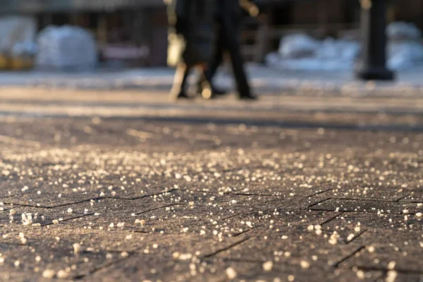 salting services salting services