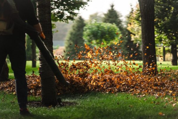 woman-operating-heavy-duty-leaf-blower_1153-7322 woman-operating-heavy-duty-leaf-blower_1153-7322