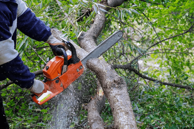 broken-trunk-tree-after-hurricane-man-is-cutting-tree-with-chainsaw_73110-9054
