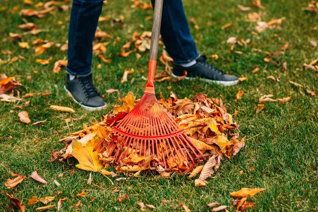 rake-with-fallen-leaves-autumn-gardening-cold-season-cleaning-yellow-leaves-fall_243724-1206